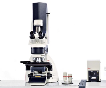 TCS SPE Confocal Microscope from Leica