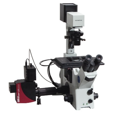 Confocal Microscope from Thorlabs