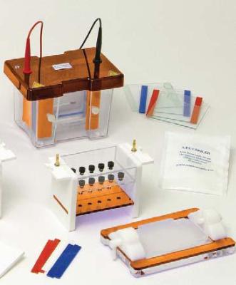 Clarit-E Vertical Electrophoresis System from Alphalabs