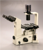 TC-5100 Brightfield Binocular Inverted Microscope from Meiji