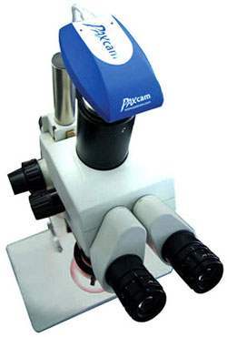 USB 2.0 Digital Microscope Camera from Paxcam