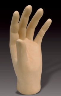 Passive Hand and Cosmetic Glove Range from RSLSteeper