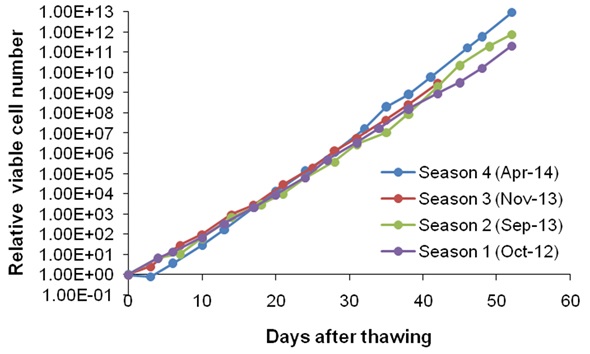 Relative growth of HS578T cells in different seasons. For seasonal comparison, the initial cell number was set as 1