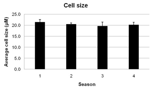 Average size of HS578T cells in different seasons. Data were presented as mean ± SD.