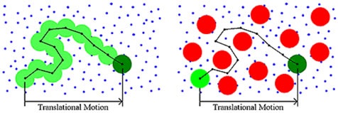 Schematic depicting concentration-dependent restricted diffusion effects.