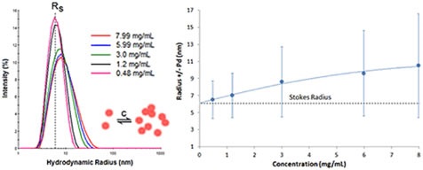 DLS dilution results for an antibody formulation exhibiting reversible self-association or attractive virial effects.