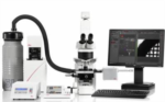 Leica Cryo CLEM for Analysis of Cryo-fixed Biological Samples