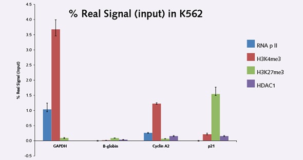 Figure 4. Chromatin Immunoprecipitation of methylation marks and transcription factors at multiple gene loci in K562 cell line.
