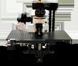 Ultima Multiphoton Microscope from Bruker Nano Surfaces