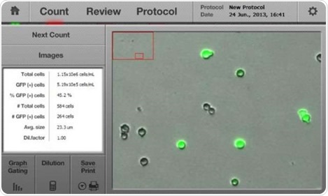 A result screen of a typical GFP transfection assay.