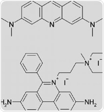 Chemical structure of Acridine orange (upper) and Propidium iodide (lower).