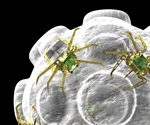Novel nanotechnology detects human DNA mutations