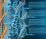 Scientists discover new bases of DNA