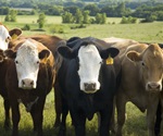 Protein involved in 'mad cow' disease