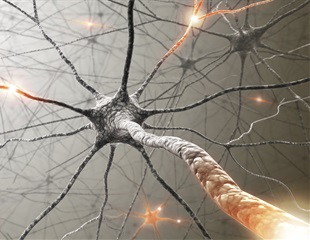 Research may pave the way for a future test to diagnose ALS