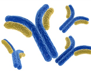 Synthetic antibody demonstrates Omicron detection along with all other variants of concern