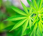 New peptide could allow cannabis to fight pain without side effects