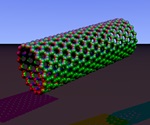 Carbon nanotubes show great potential for use as cellular probes