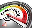 Study establishes link between Piezo1 and intracellular cholesterol levels during neural development