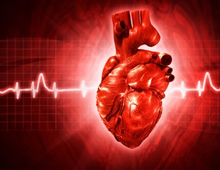 UVA researchers discover genes responsible for the development of coronary artery disease