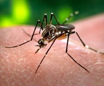Mosquitoes stay away from DEET because they hate the smell!