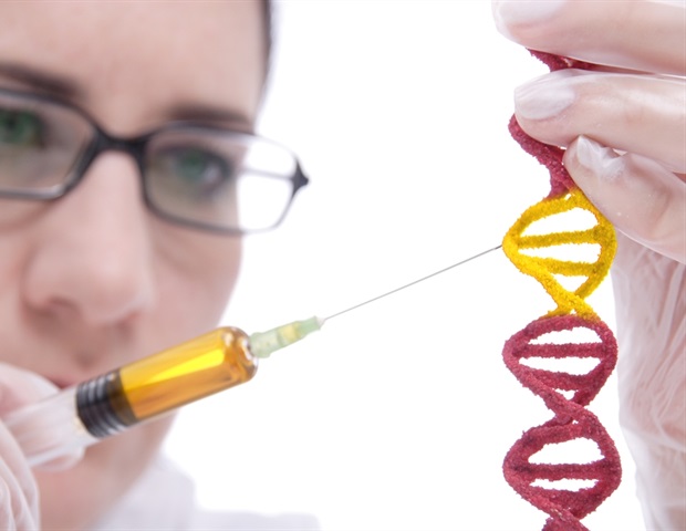 Una tecnología innovadora revela los secretos del «retroceso» en la regulación genética