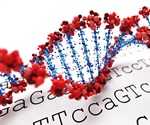Researchers uncover potential genetic target for treating endometriosis
