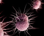 Understanding mechanism behind antibiotic-resistant gonorrhea sets stage for new treatments