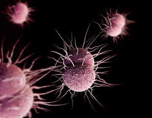 Simple method provides real-time surveillance to control the spread of drug-resistant gonorrhea
