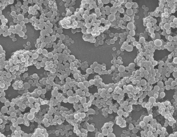 Researchers develop microrobotic system capable of rapid, targeted elimination of fungal pathogens