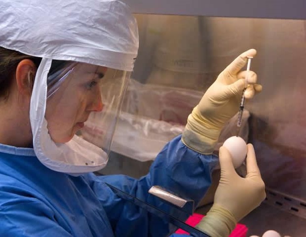 Naukowcy oceniają skuteczność śledzenia kontaktów w kontrolowaniu pandemii Covid-19