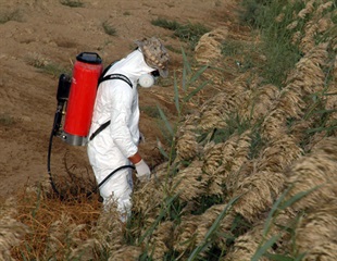 Survey shows increase in human exposure to potentially harmful pesticide