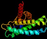 Inhibiting a protein protects against heat stroke