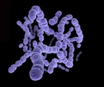 Scientists identify new virulence mechanism for a surface protein on pneumonia-causing bacteria