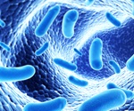 Bacterial infections may contribute to far more cancers than previously thought, shows study