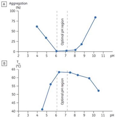 Stability behavior of CD40 ligand (CD40L) correlating aggregation response (A) as determined by size exclusion chromatography (SEC), and (B) the Tm determined by DSC as a function of pH. The bracketed area represents the optimal pH range where Tm is maximized and aggregation is minimized.