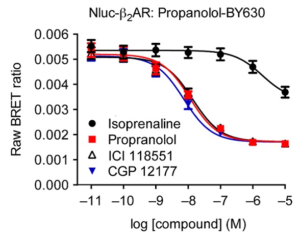 Competitive binding experiments of propranolol-BY630 with increasing concentrations of known labeled ß2AR ligands. Data previously published in Stoddart et al.