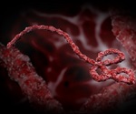 Traces of Ebola can linger in semen for nine months