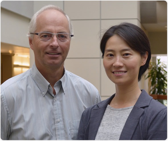Xiang-Lei Yang (right), professor at The Scripps Research Institute, and Samuel Pfaff, professor at the Salk Institute and investigator at the Howard Hughes Medical Institute, are senior authors of the new study.