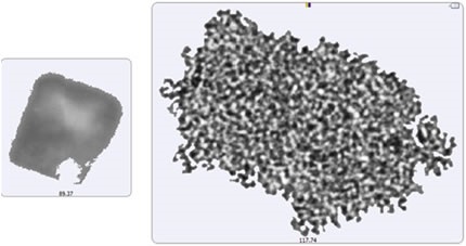 Image of the largest recorded aggregate particle from the filtered sample (left) and from the suspended sample (right)