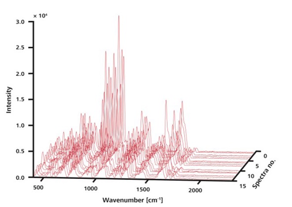 The 15 Raman spectra shown here were recorded at random locations on a single sample without ORS. Although peaks are observed at the same positions, intensities vary.