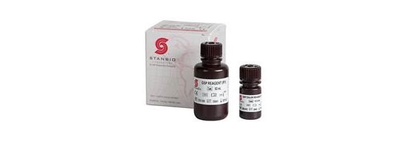 EKF’s Stanbio Chemistry Glycated Serum Protein (GSO) LiquiColor® test.