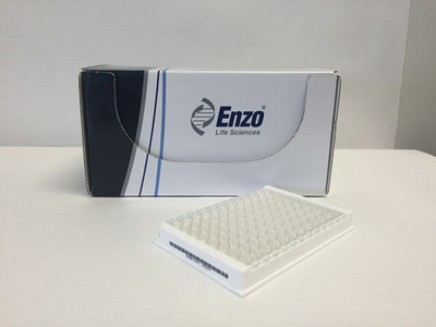 GFP-Certified® FluoForte® Calcium Assay Kit from Enzo Life Sciences