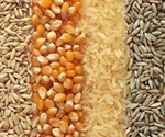Combining NIR Spectroscopy and Machine Vision for Rapid Grain Inspection