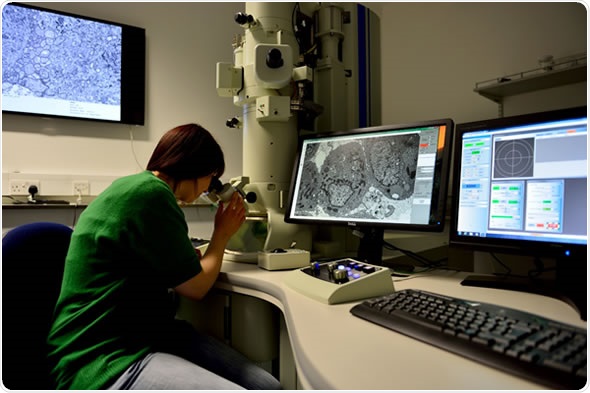 UA user at the Microscopy & Histology Core Facility at the University of Aberdeen using the JEOL 1400 plus TEM together with the high performance AMT TEM camera from Deben.