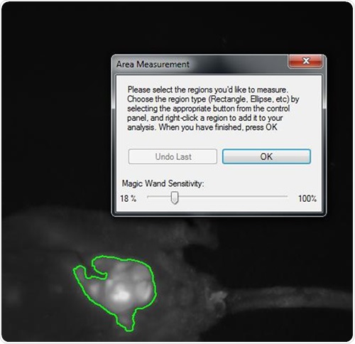 Snapshot of area density measurement of tumor mass within the abdomen of a nude mouse implanted with HCT-116 human colon cancer cells. The highlighted area is a luminescent lesion composed of GFP and RFP-expressing cells roughly 1cm in diameter. VisionWorksLS software automatically selects for the brightest region and, with calibration, can yield quantitative information regarding light density.