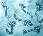 Ebola diagnosis now possible within minutes