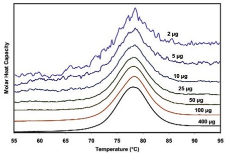 Temperature scan, converted to molar heat capacity, for hen egg white lysozyme solution in 0.2 M glycine buffer, pH 4.0. Lysozyme concentrations ranged from 400 to 2µg in the 300µL sample cell. Curves are offset to aid presentation. Data were obtained using a scan rate of 20C/min on a CSC 6300 N-DSC III.