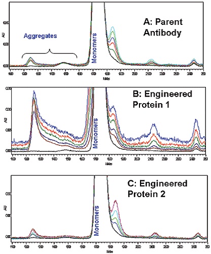 Overlaid SEC-HPLC chromatograms A: Parent Antibody, B; Engineered Antibody 1; C: Engineered Antibody 2.