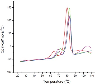 Differential Scanning Calorimetry for several different buffer types. The selected monoclonal antibody was exhaustively dialyzed into four different buffer types prior to analysis. Sample concentrations were approximately 2mg/mL with a scan rate of 60°C/h. Data presented here are after buffer subtraction and concentration normalization